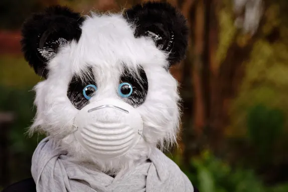 Kazino Volcano Bingo Atbalsts